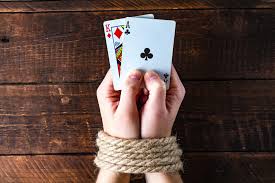 Как войти на сайт AVOCADO CASINO